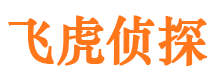 宜秀市侦探公司